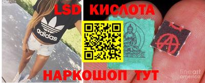 PSILOCYBIN Берёзовский