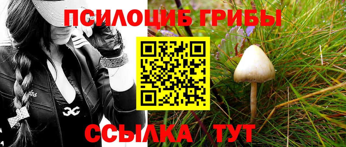 Изобильный  Галлюциногенные грибы MAGIC MUSHROOMS  Галлюциногенные грибы Psilocybe  Вход с VPN 